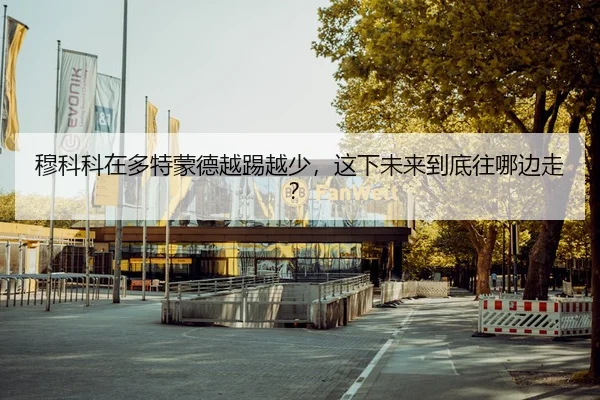 穆科科在多特蒙德越踢越少，这下未来到底往哪边走？